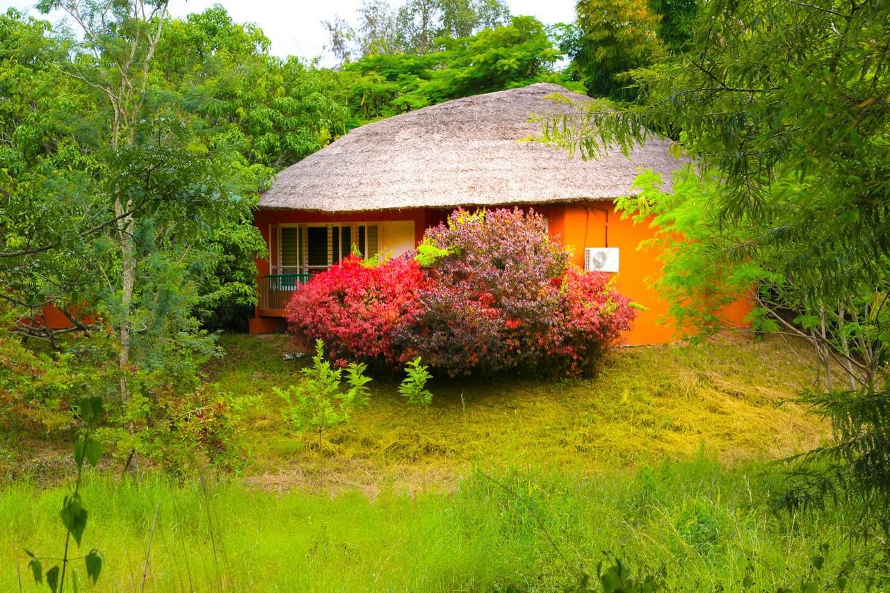Kings Sanctuary Nagarhole & Kabini Hunsur Екстериор снимка